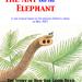 The Ant and the Elephant